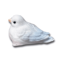 Los pájaros blandos