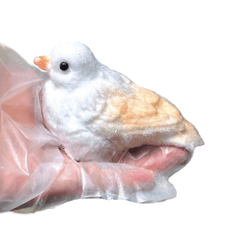 Los pájaros blandos