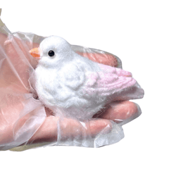 Los pájaros blandos