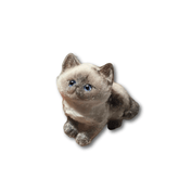 Squishy personalizado lindo gatito