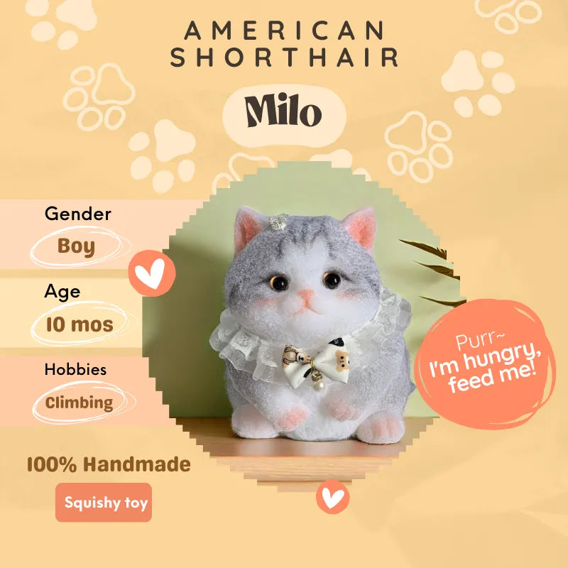 Squishy toy cat 2025
