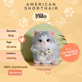 Cute Big Cat Squishy Toys,Customizable,Perfect Gift,Decorative 3