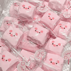 Hawaiian Cake Pigs Squishy