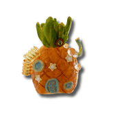 Casa de piña blanda