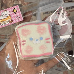 Toast Cat Squishy1
