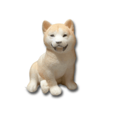 Orange Dog Taba Squishy