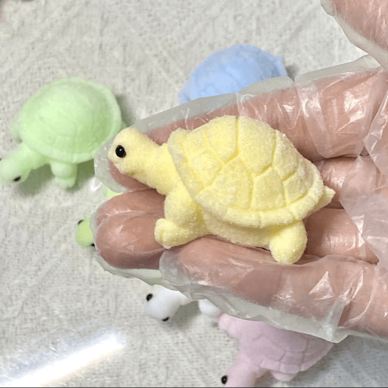 The Turtle Squishy