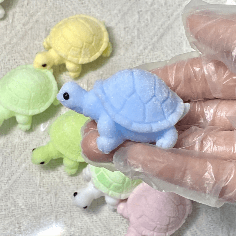 The Turtle Squishy