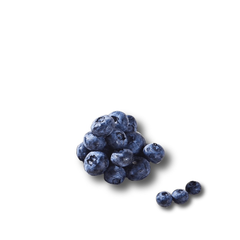 Blueberries Squishy