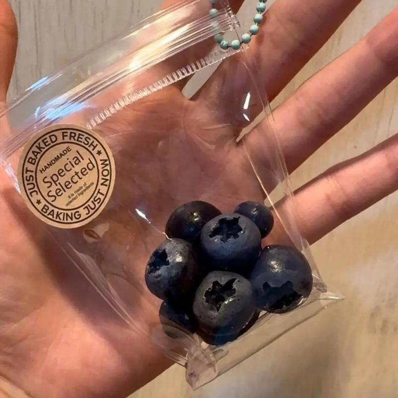 Blueberries Squishy