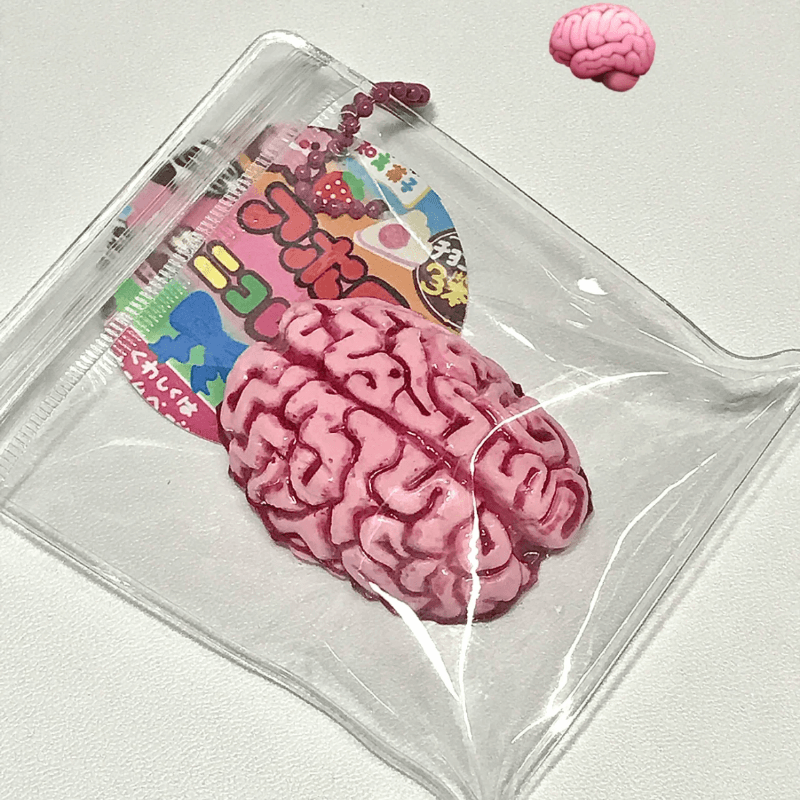 Brain Human Body Organizer Squishy