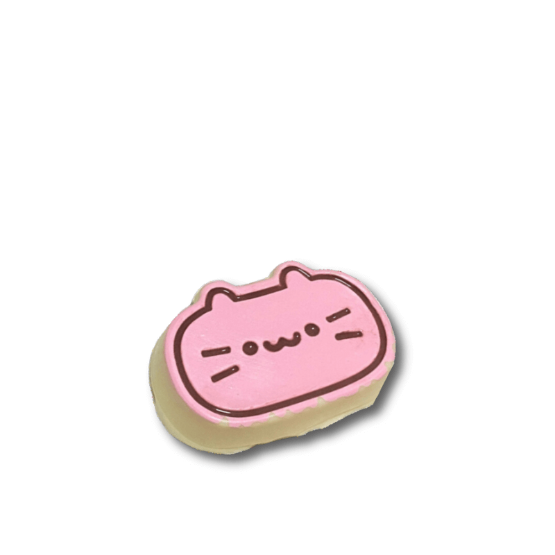 Cheese Cat Squishy