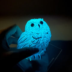 Glow-in-the-Dark Hedwig Magic Apprentice Squishy Gift Box