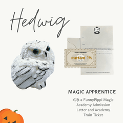 Glow-in-the-Dark Hedwig Magic Apprentice Squishy Gift Box