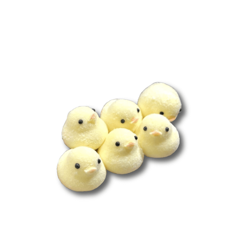 Mini Duck Squishy