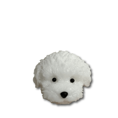 Teddy Dog Head Squishy