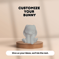 Handamade Customize Your Bunny Squishy